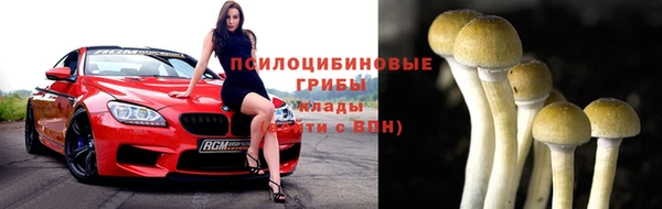 Альфа ПВП Беломорск