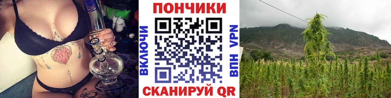 цена наркотик  Верхотурье  Каннабис планчик 